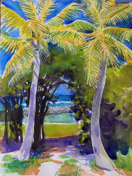 Palm Tree Pathway