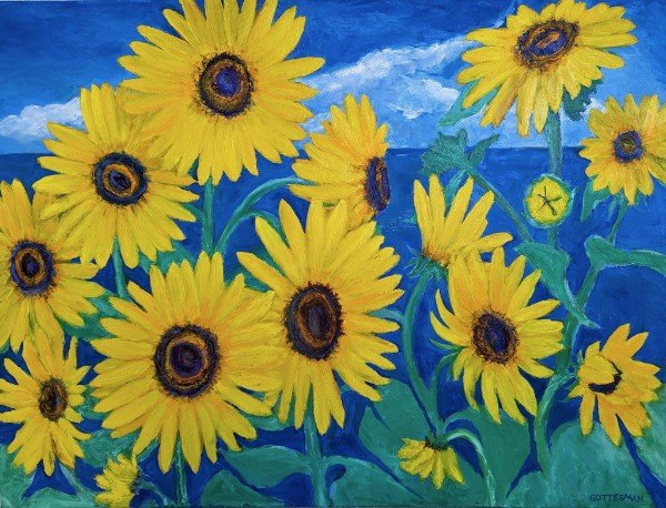 Sunflowers of Captain Cook