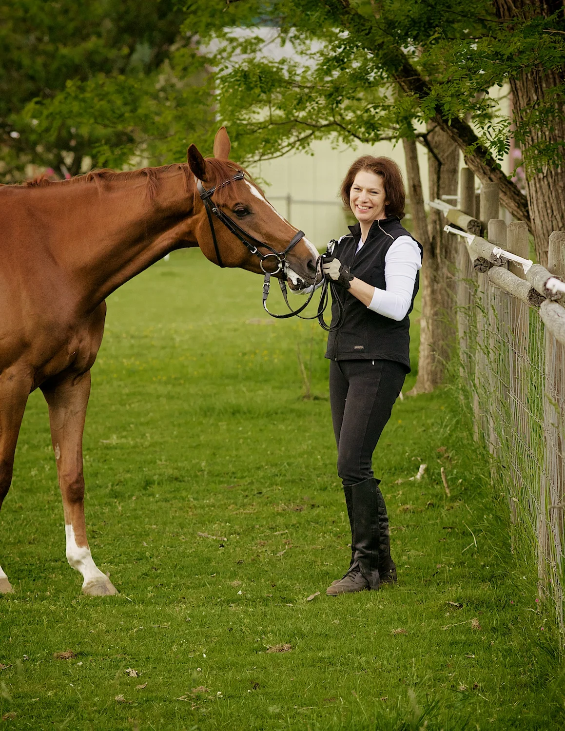 Equestrian Portrait Photography