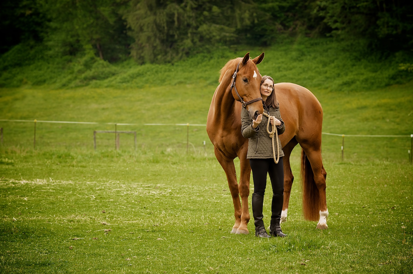 Equestrian Photography, Salem and Keizer, Oregon
