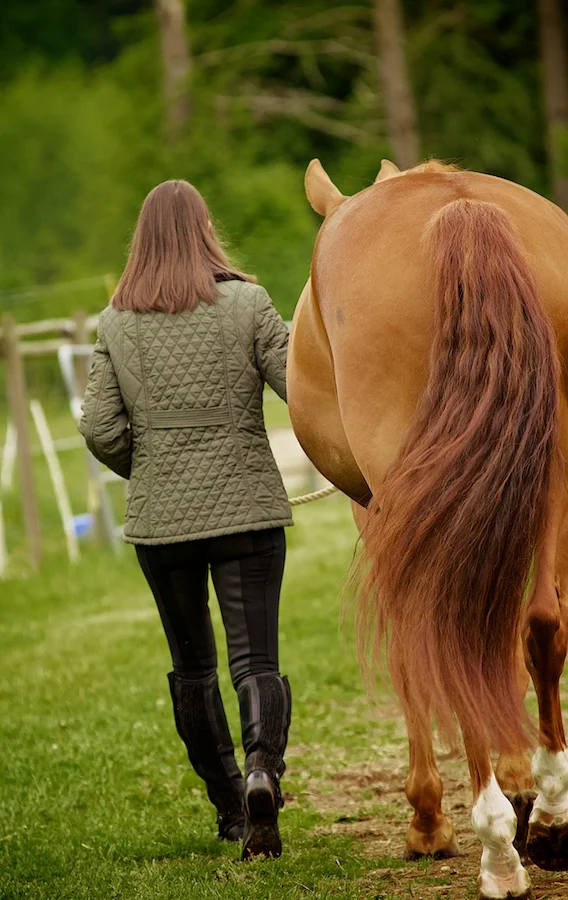 DressagePhotography_AJH8471 - Version 2.jpg