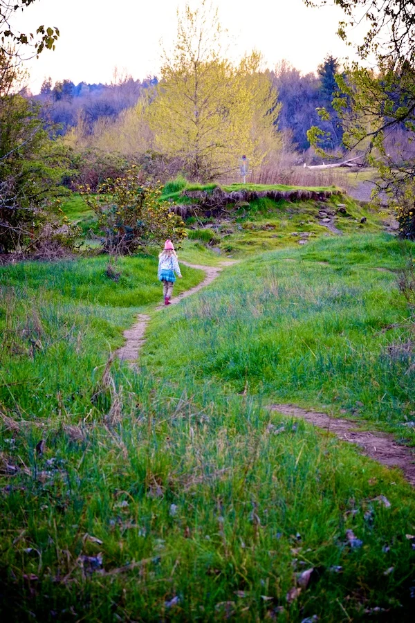 Hobbit Trails - Keizer Rapids Park, Oregon 