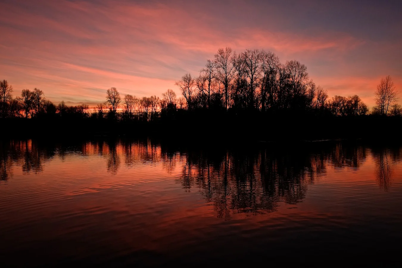 The widest perspective from the Fujifilm 18-55mm zoom shown here also captures a lovely shot, but lacks the drama provided by the 12mm perspective from the Zeiss shown above. Fujifilm XE-1, Fuji XF18-55mm @ 18mm, ISO 400, f/8, 1/60. 