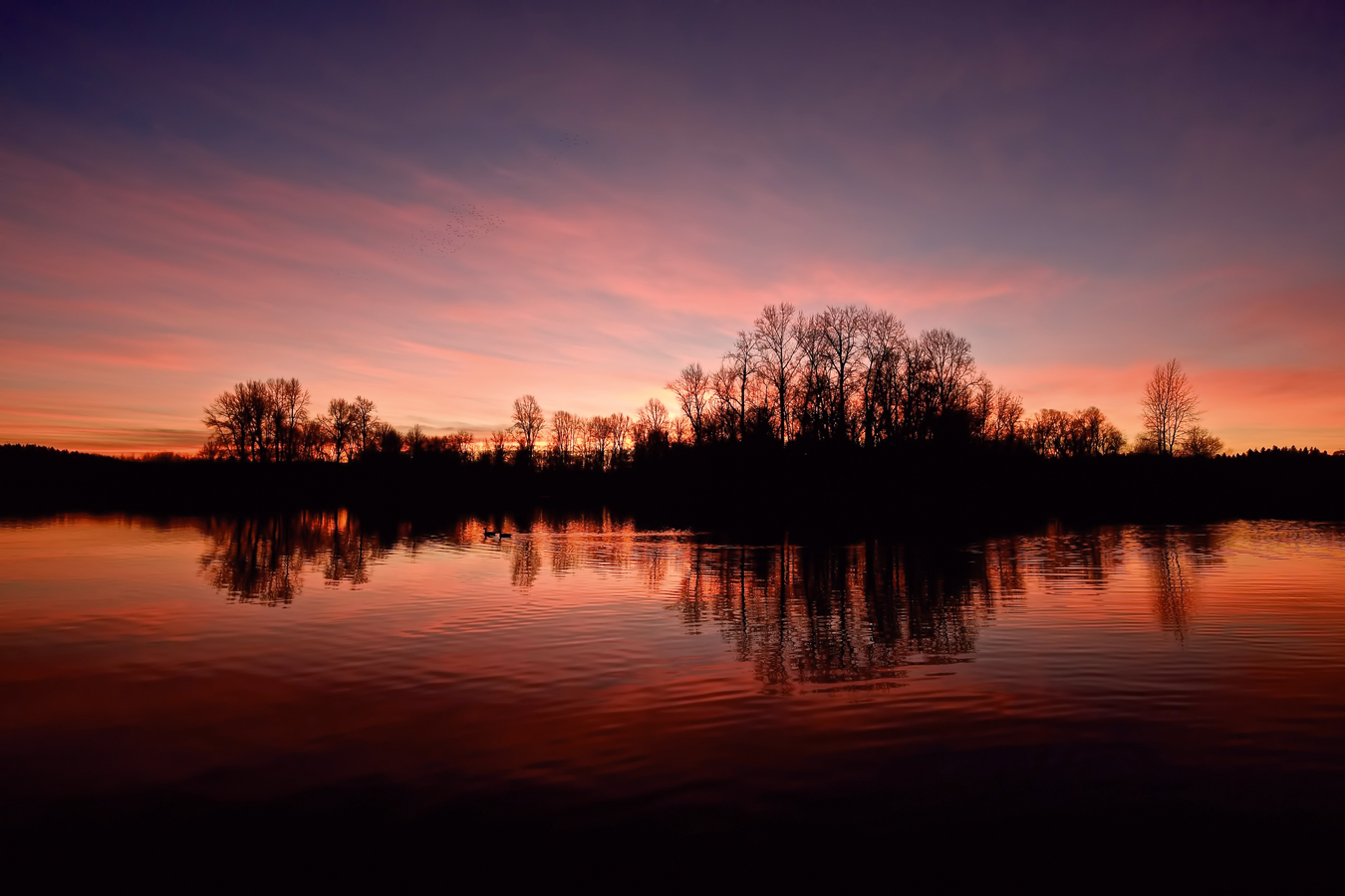 Willamette Sunset, Salem, Oregon