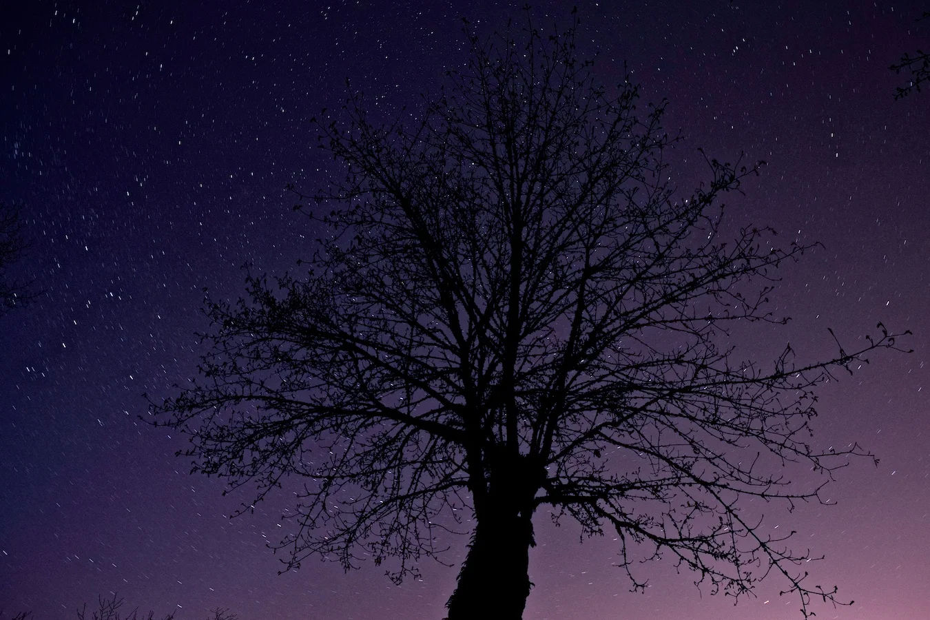 Fujifilm X-E1, XF18-55mm @ 18mm, f/5.6, 125 seconds, ISO 400