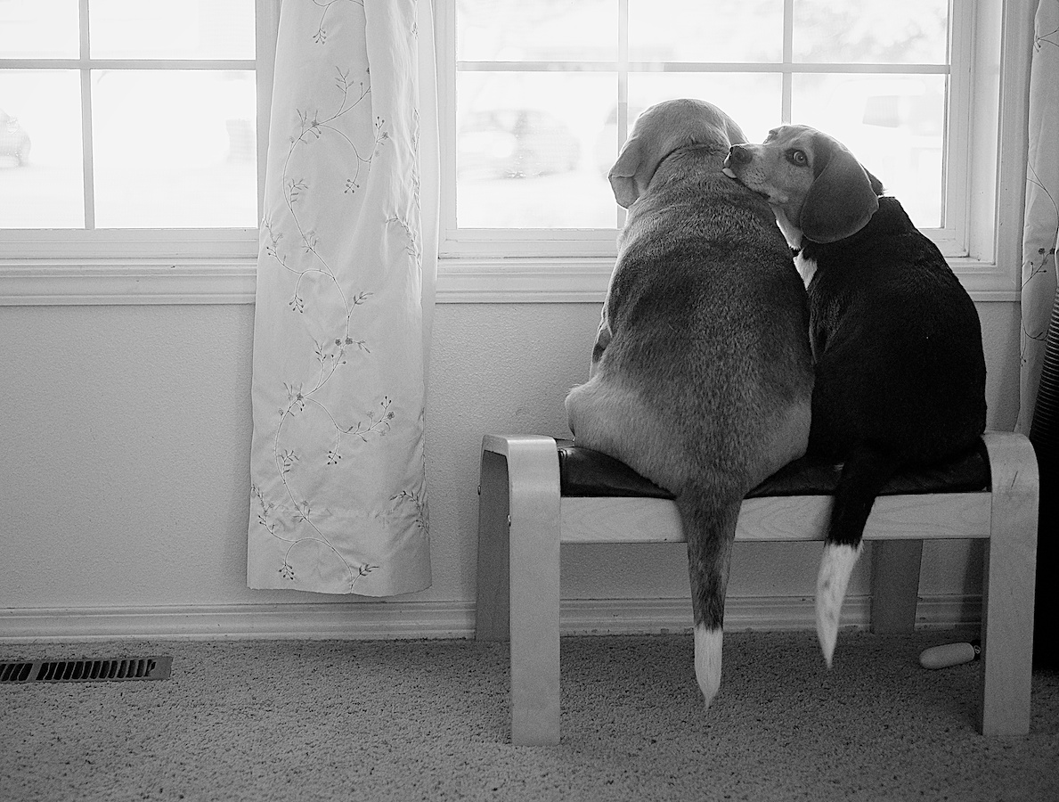 Fujifilm X-E1, XF35mm f/1.4 @ f/2, 1/500, ISO 800