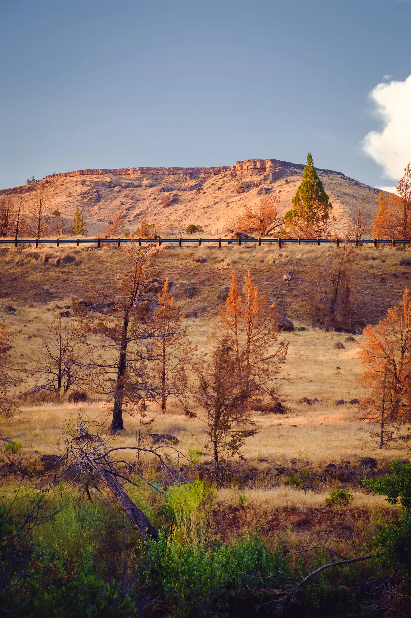 Oregon's high desert colors are beautiful. Warm Spring, OR. Fujifilm XE-1, XF18-55mm @ 55mm, ISO 200, f/8, 1/50.