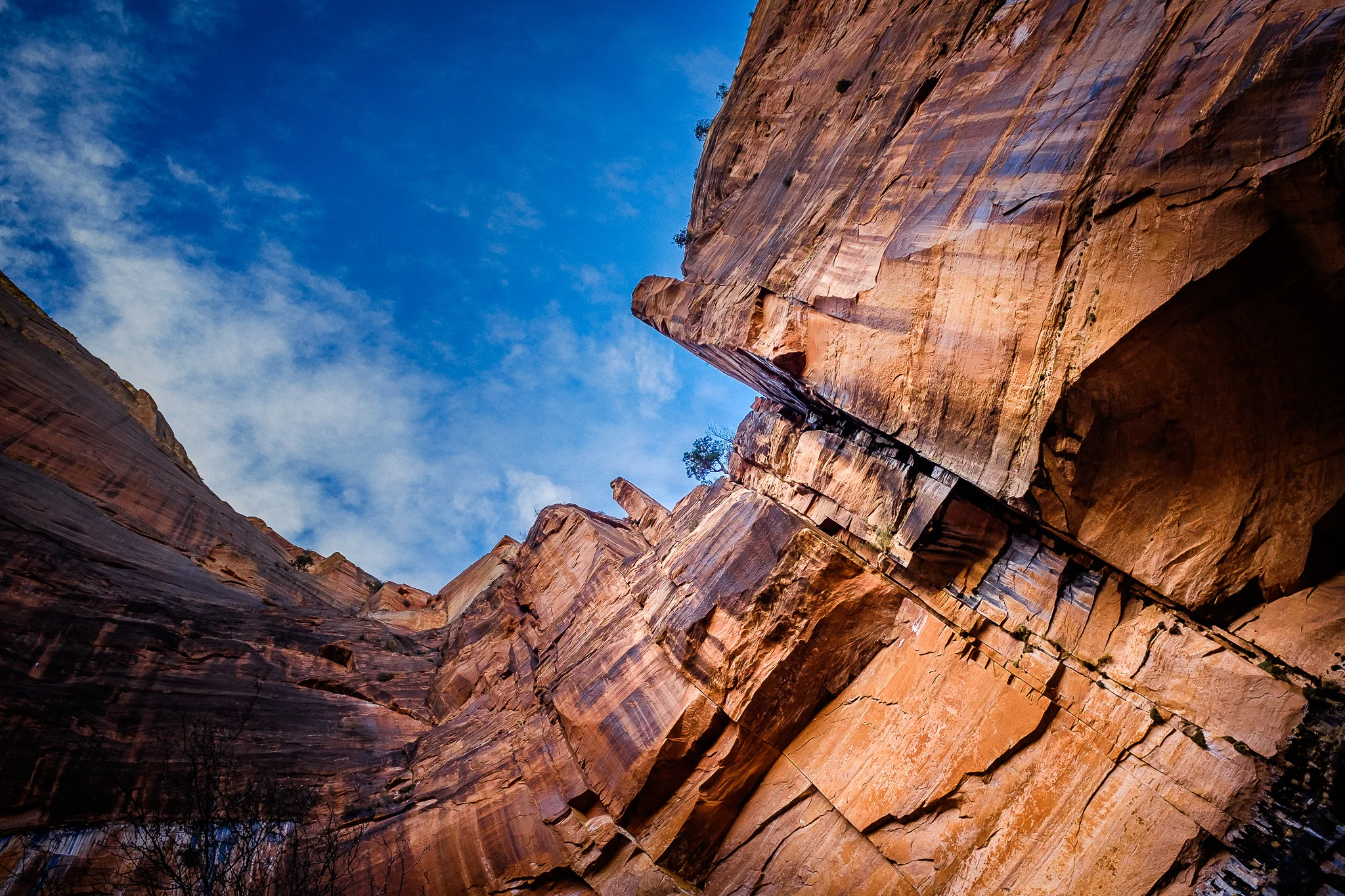 The Great American Road Trip