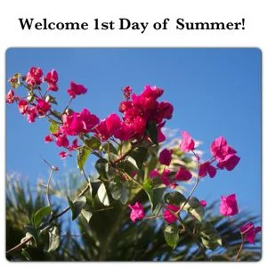 Summer flowers