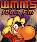 wmmsBuzzard.jpg
