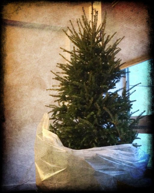 Christmas Tree