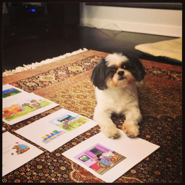Buddy patiently for the book to be completed.