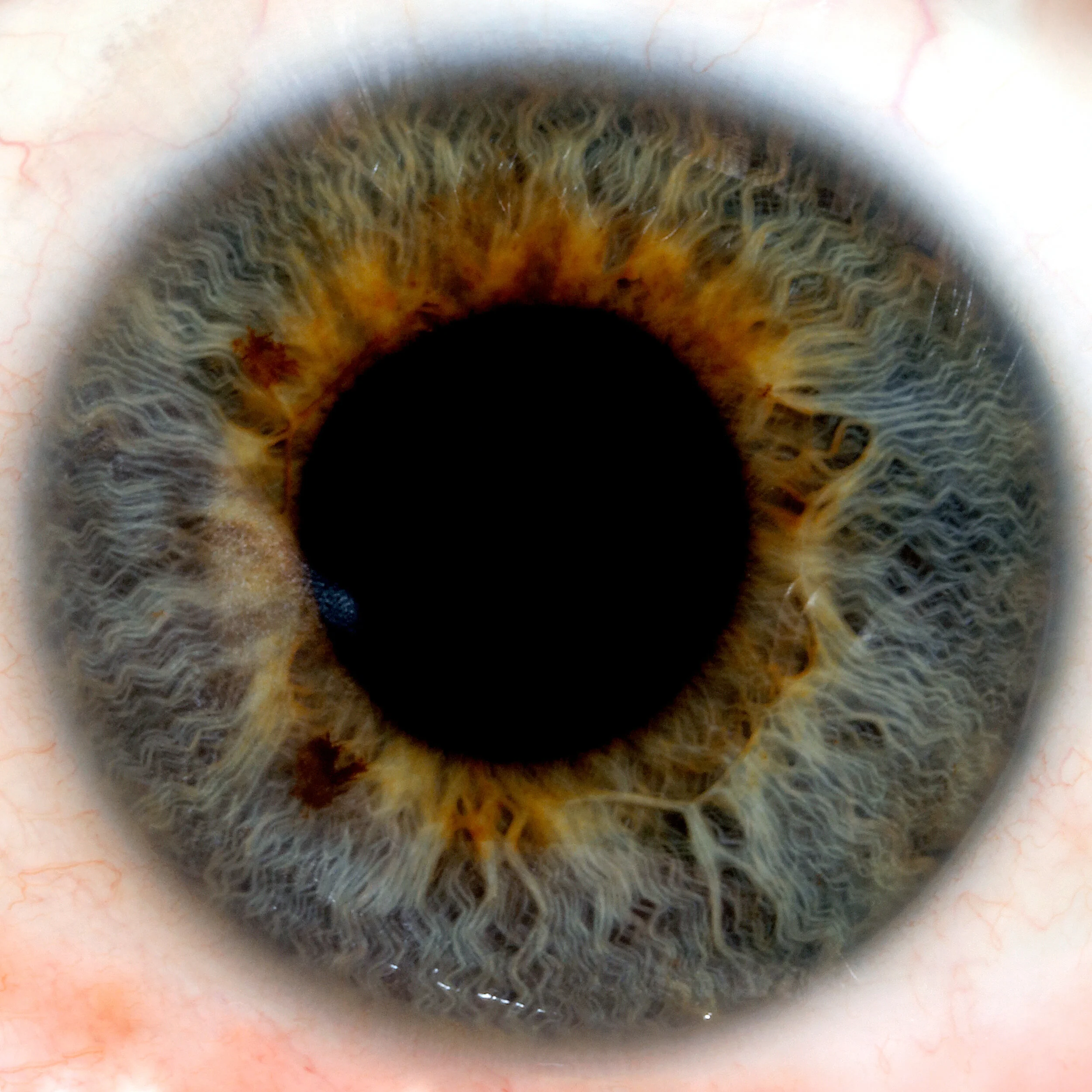 Florian Zellweger – Photographe