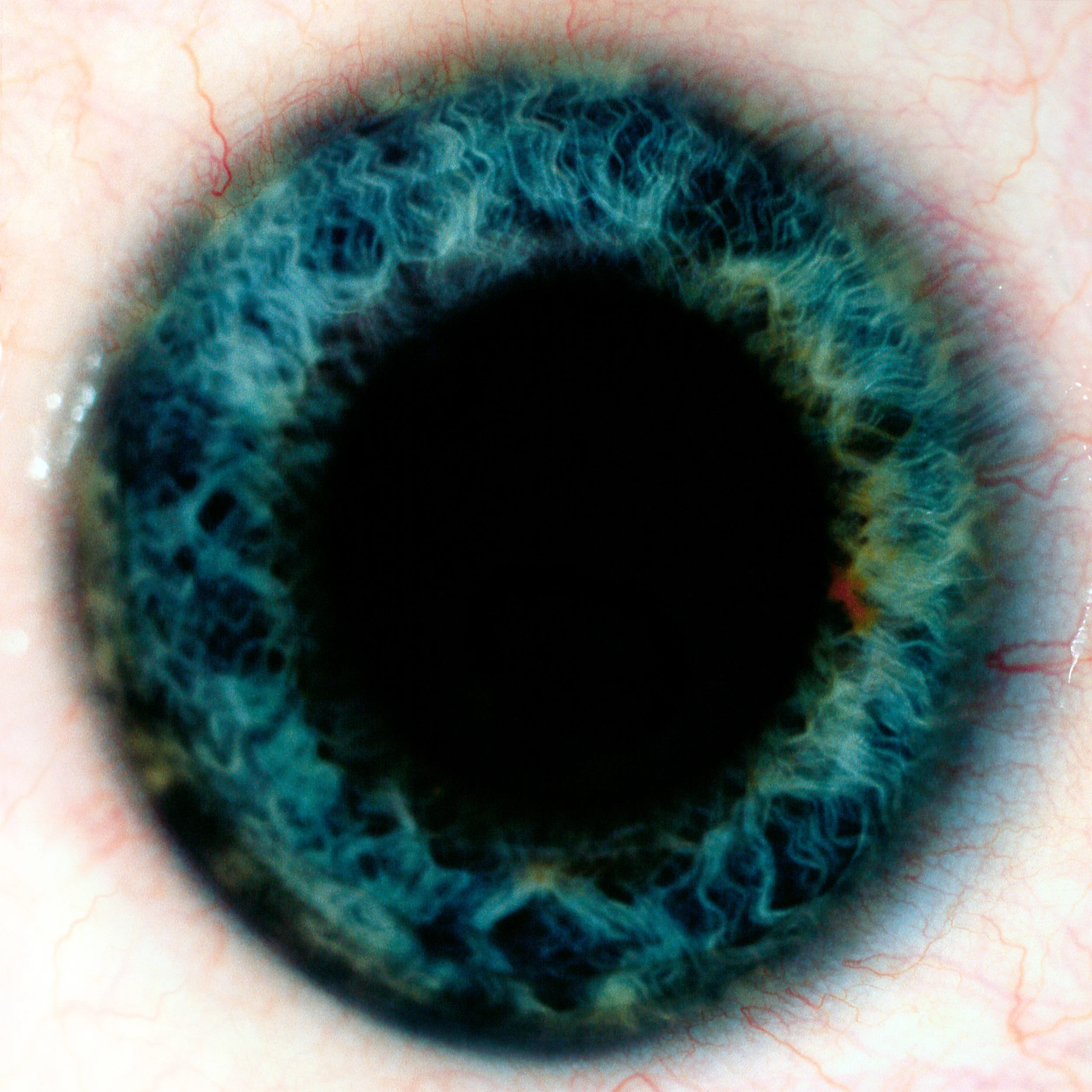— L’art d’avoir des étoiles plein les yeux — Maïna Loat
