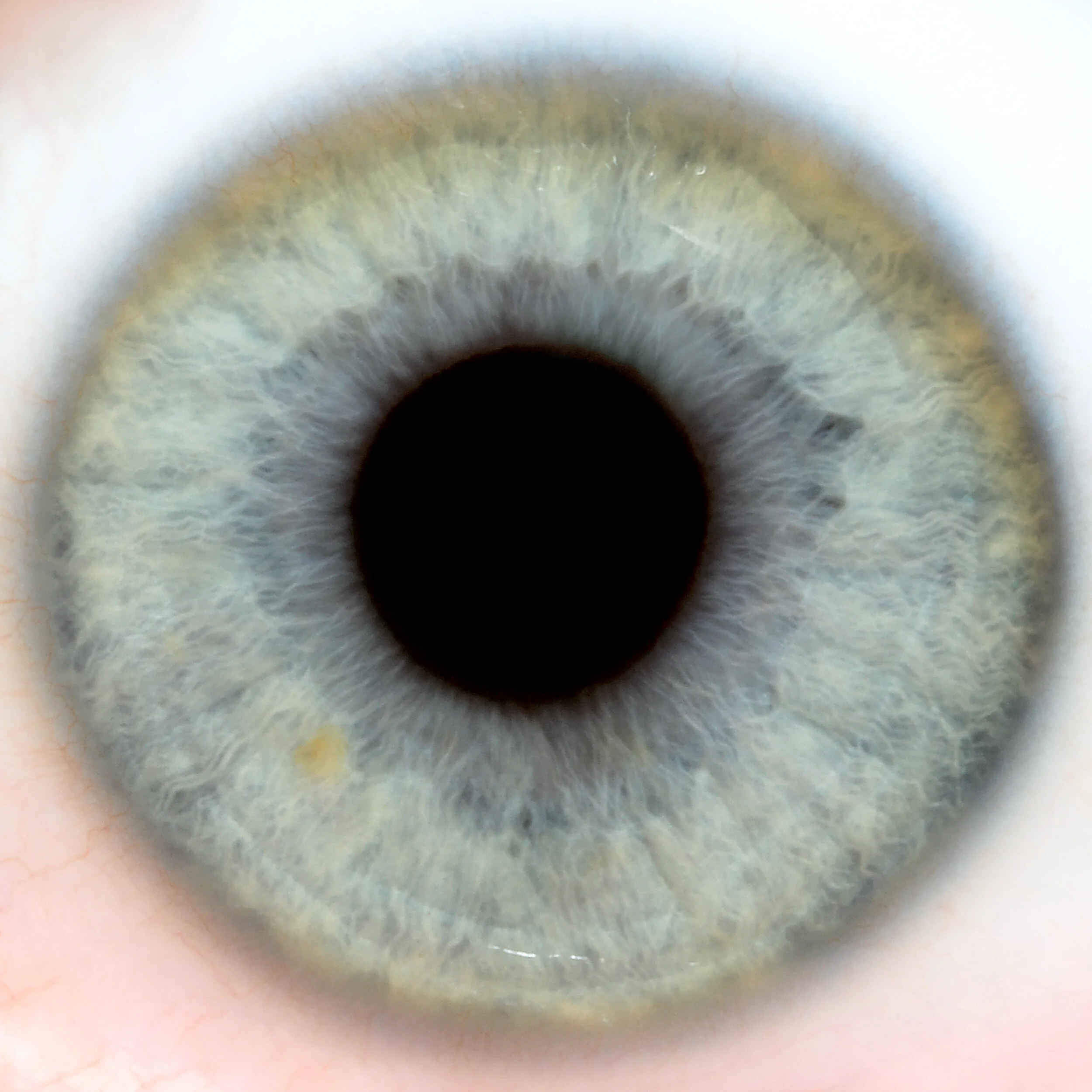 Florian Zellweger – Photographe