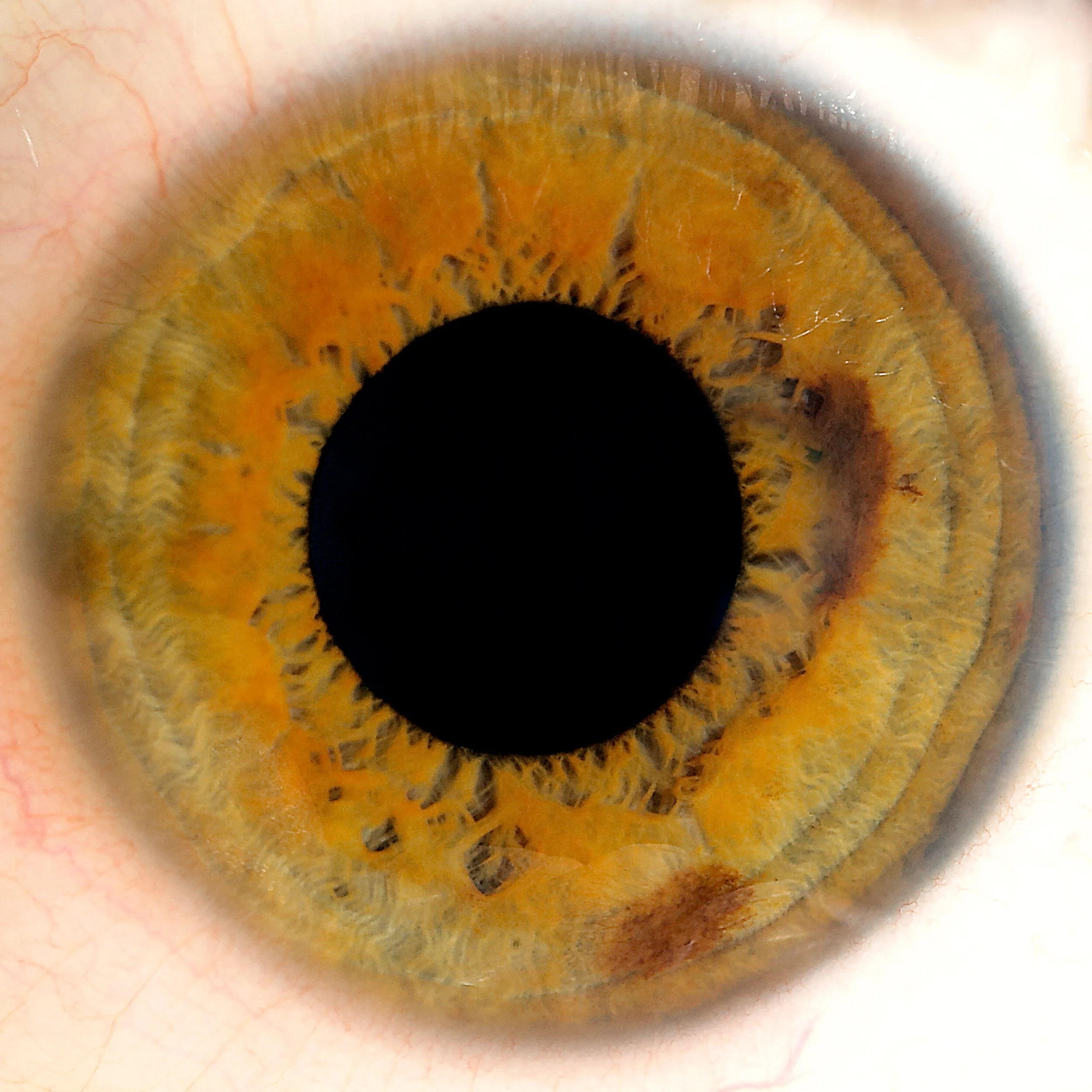 Florian Zellweger – Photographe