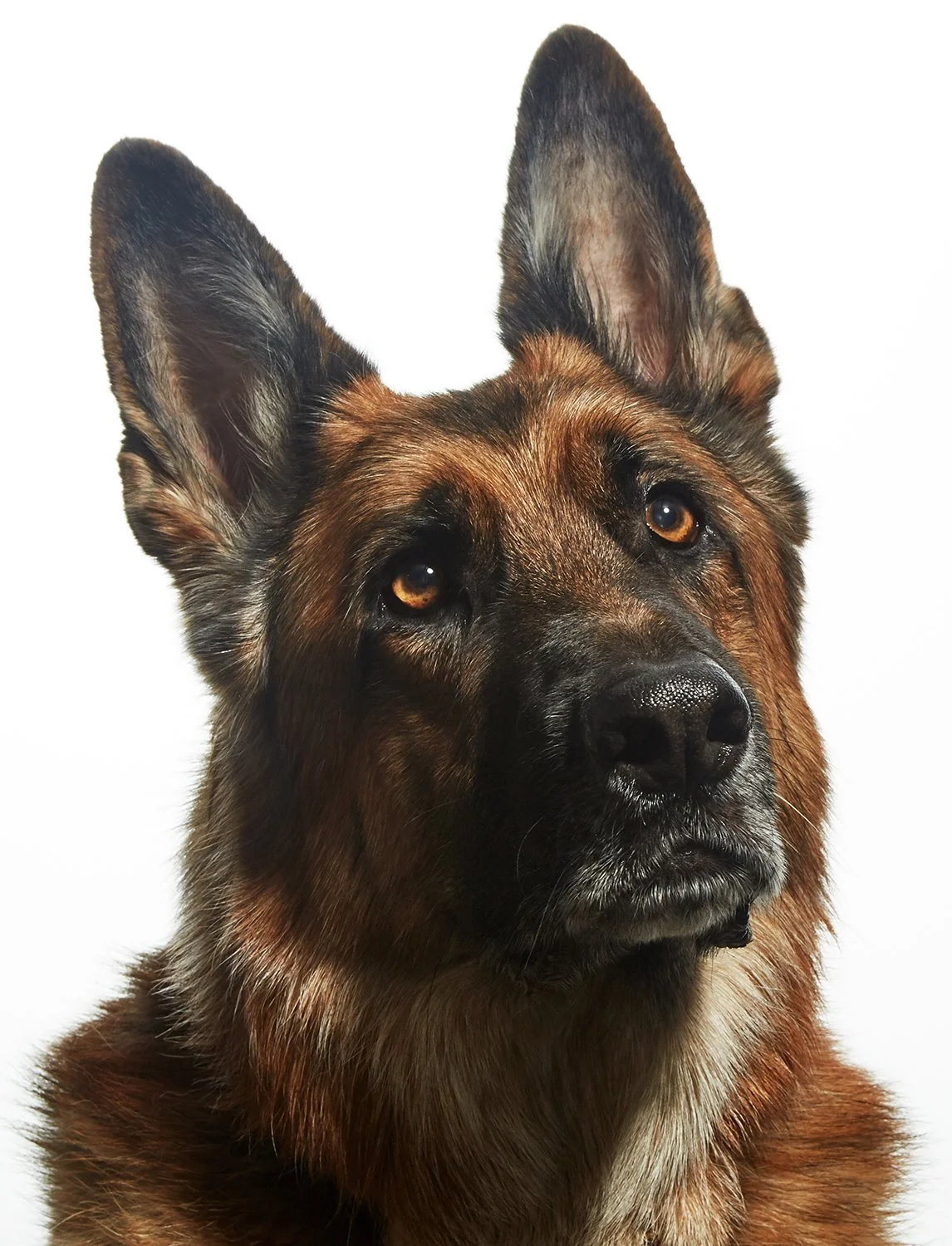 Headshots_0095 1500.jpg