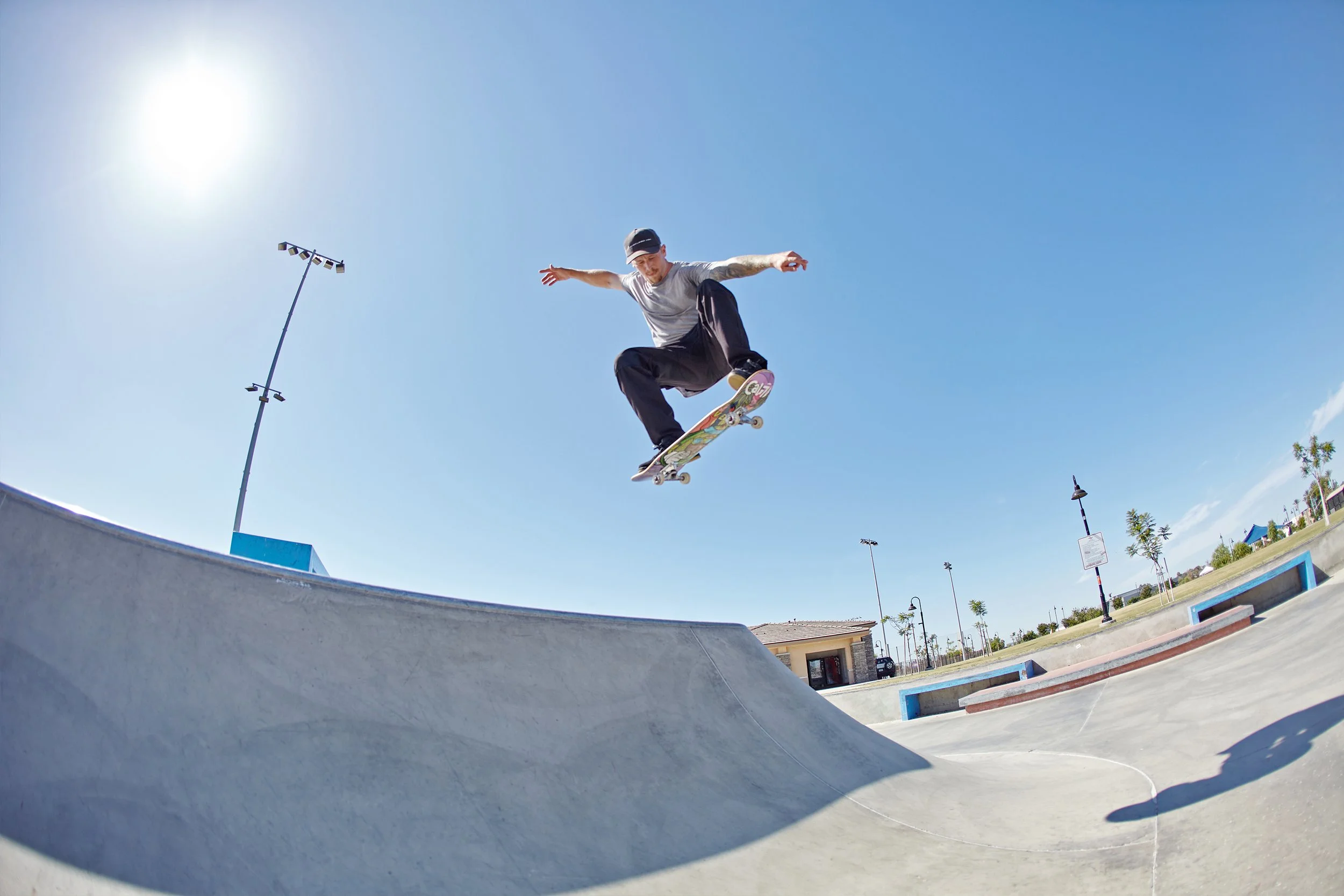 Ollie.jpg