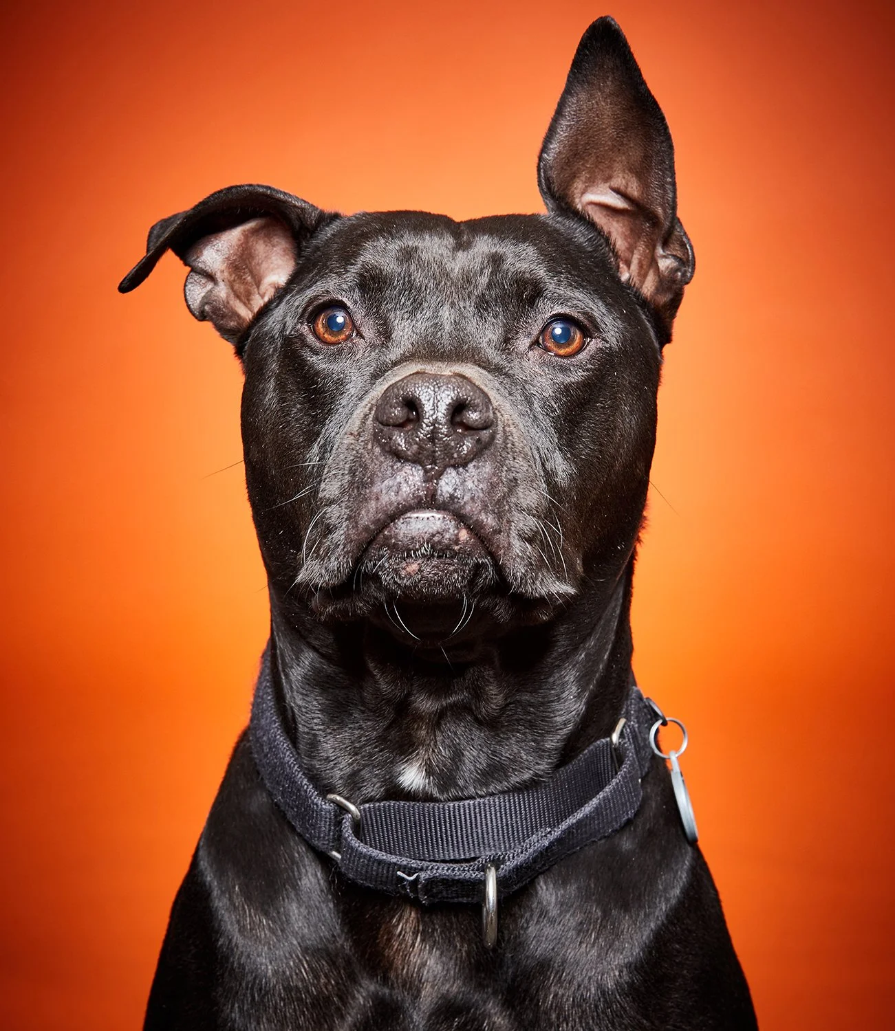 Enzo_2 edit 1500.jpg