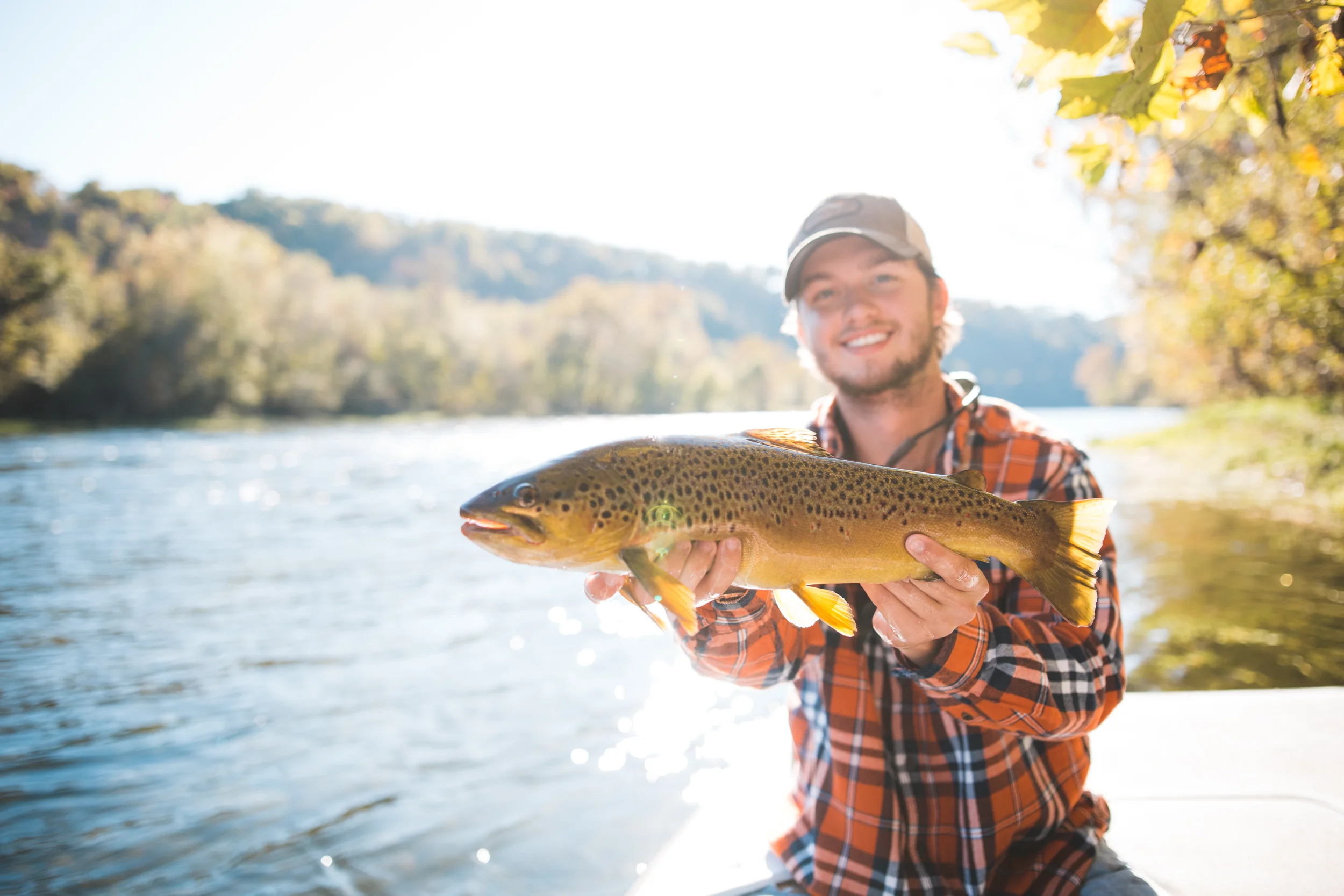This bulldog of a brown took us all for a little ride!