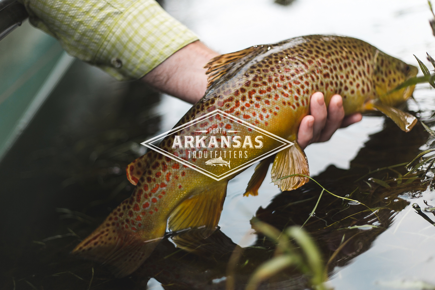 Black Friday Sale! — North Arkansas Troutfitters