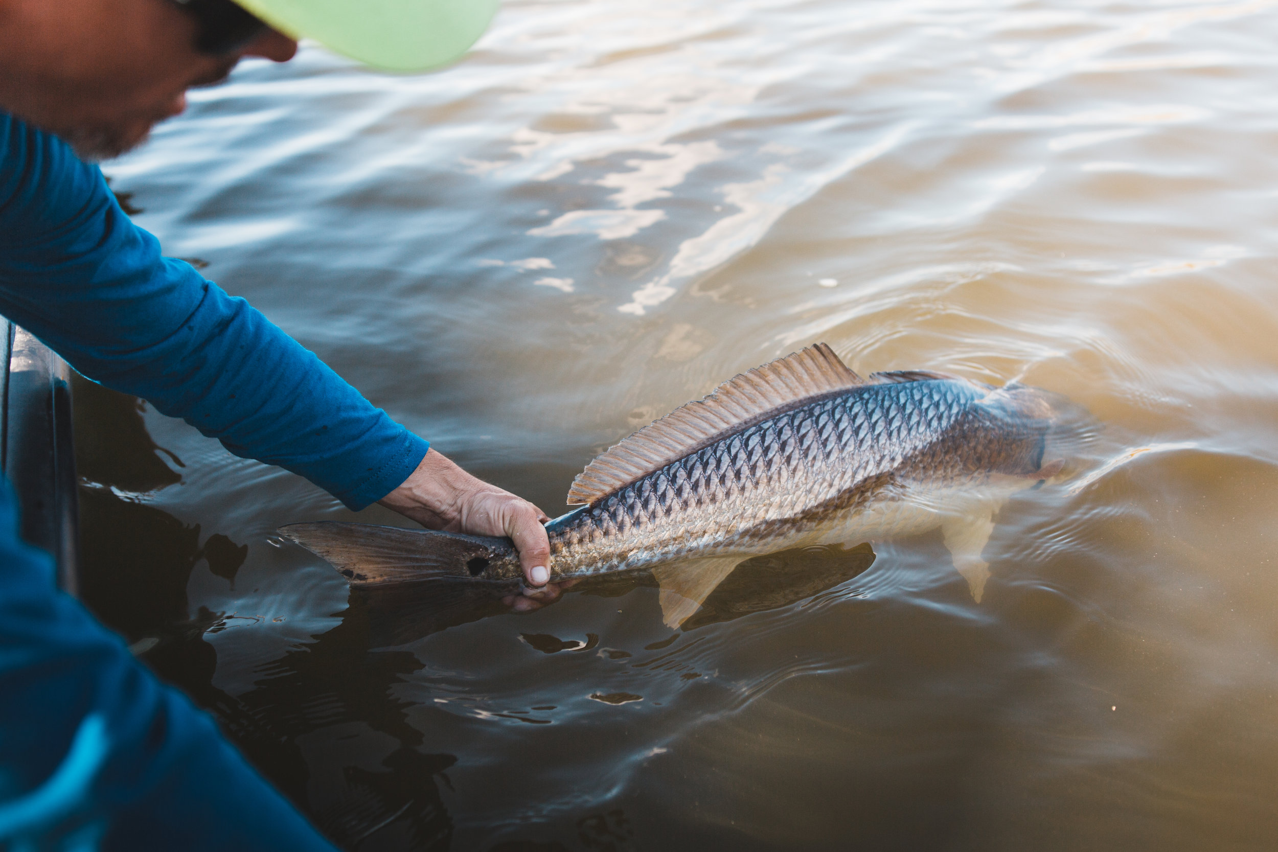 Let those big ones go!