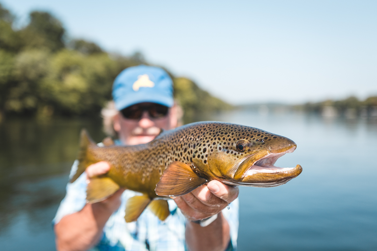 THE Buzzman with one of several stud browns during the annual Wildcat Club Hopper Tournament