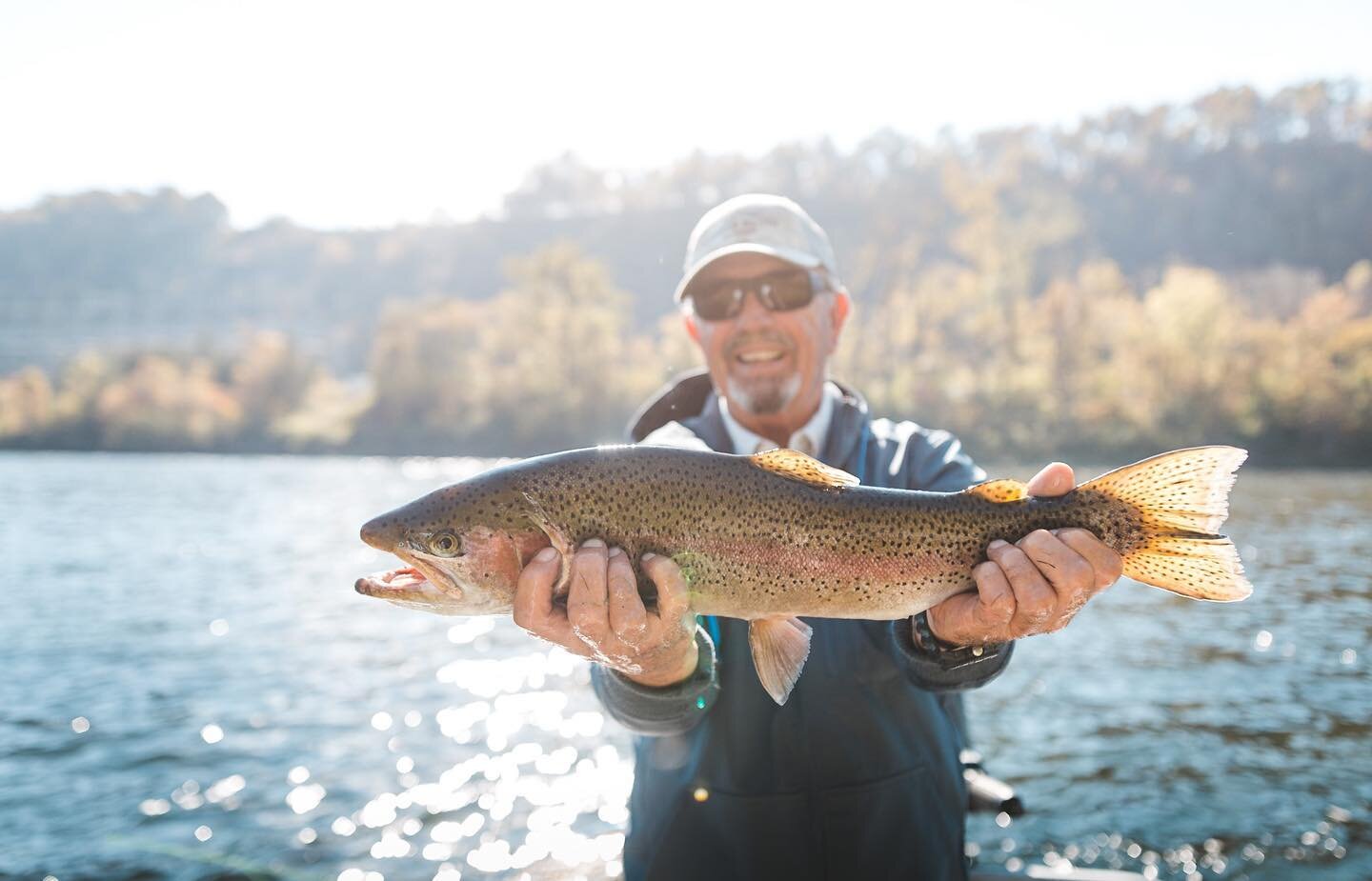 While our rivers have always been famous for their brown trout, the rainbows have been working hard to steal the show this year. Not only do you have the chance to catch multiple high quality fish like this below Bull Shoals Dam, but we are all seein