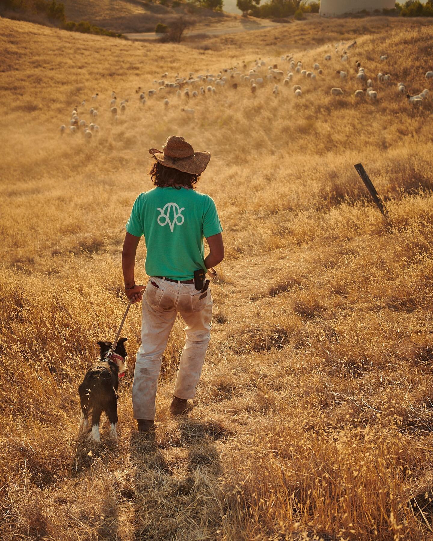 Thank you @jungmaven for sharing what we do and love and for outfitting us in well made wears  in organic hemp and cotton with on-point colors.

The shepherds wear it well.

📷 @paulnemirahcollins who captured us all so well

#thenewpastoralists #jun