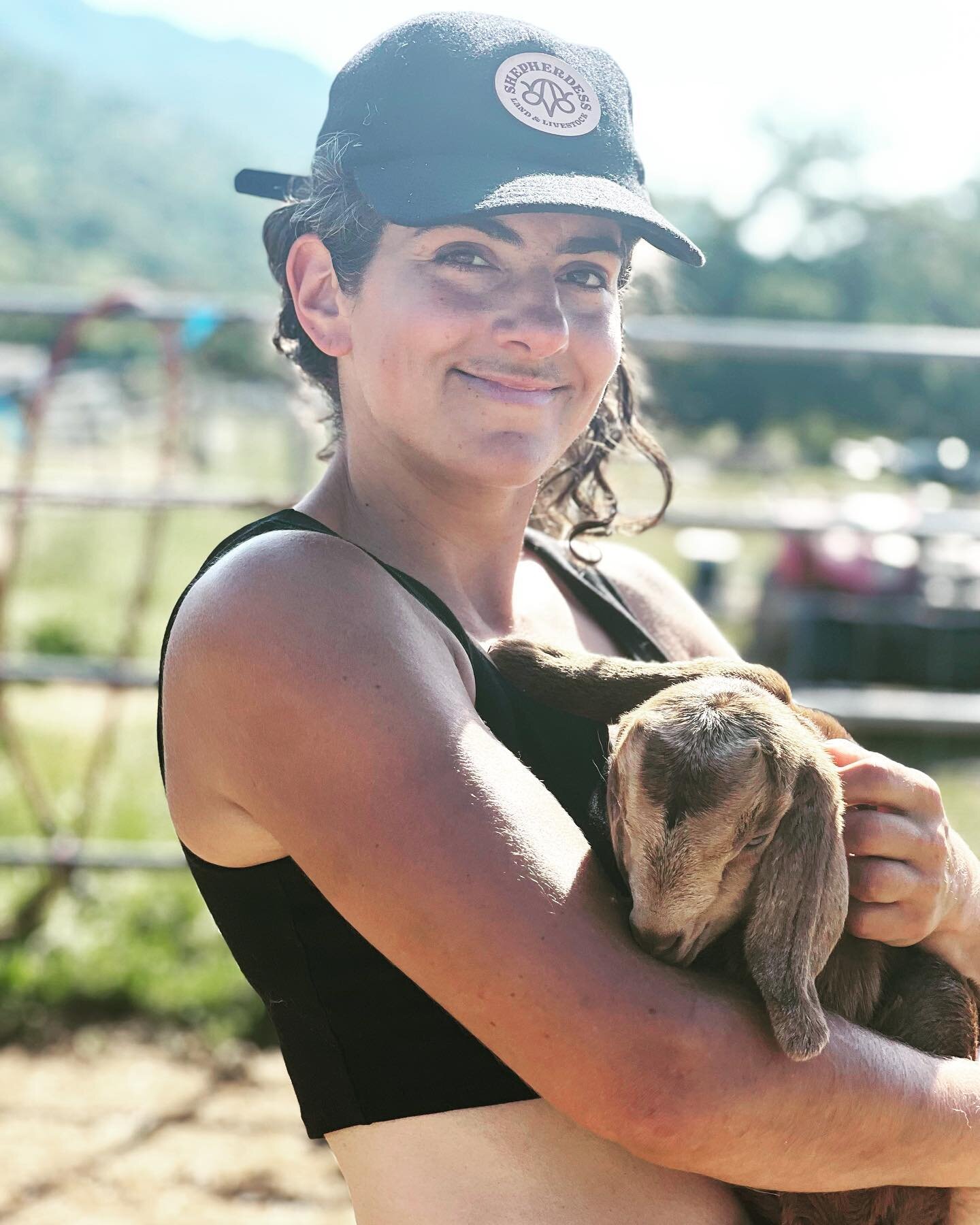 Our dairy goat, Alice had her kids and we are so joyful. Baby goats and goat milk!! It&rsquo;s gonna be a good spring.

Ranch shep daddy @dianeanastasio exhibits our bliss with future @ojaigoatyoga guest yoga instructor support animal.

#goat #ranchd