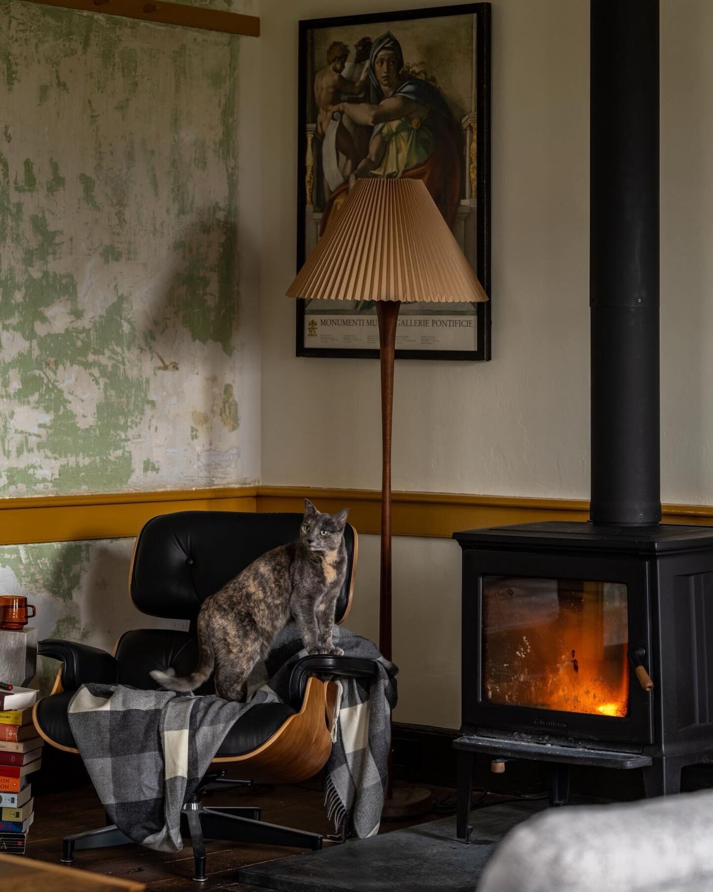 Cozy throne and warm flames. Just another day ruling my kingdom - Pepper the Cat

Architecture + Interiors: @runciblestudios 
Styling: @mwmoedinger 
GC: Restore n'More

#stonehouse #fullgutrenovation #historichomes #colorfuldesign #interiordesign