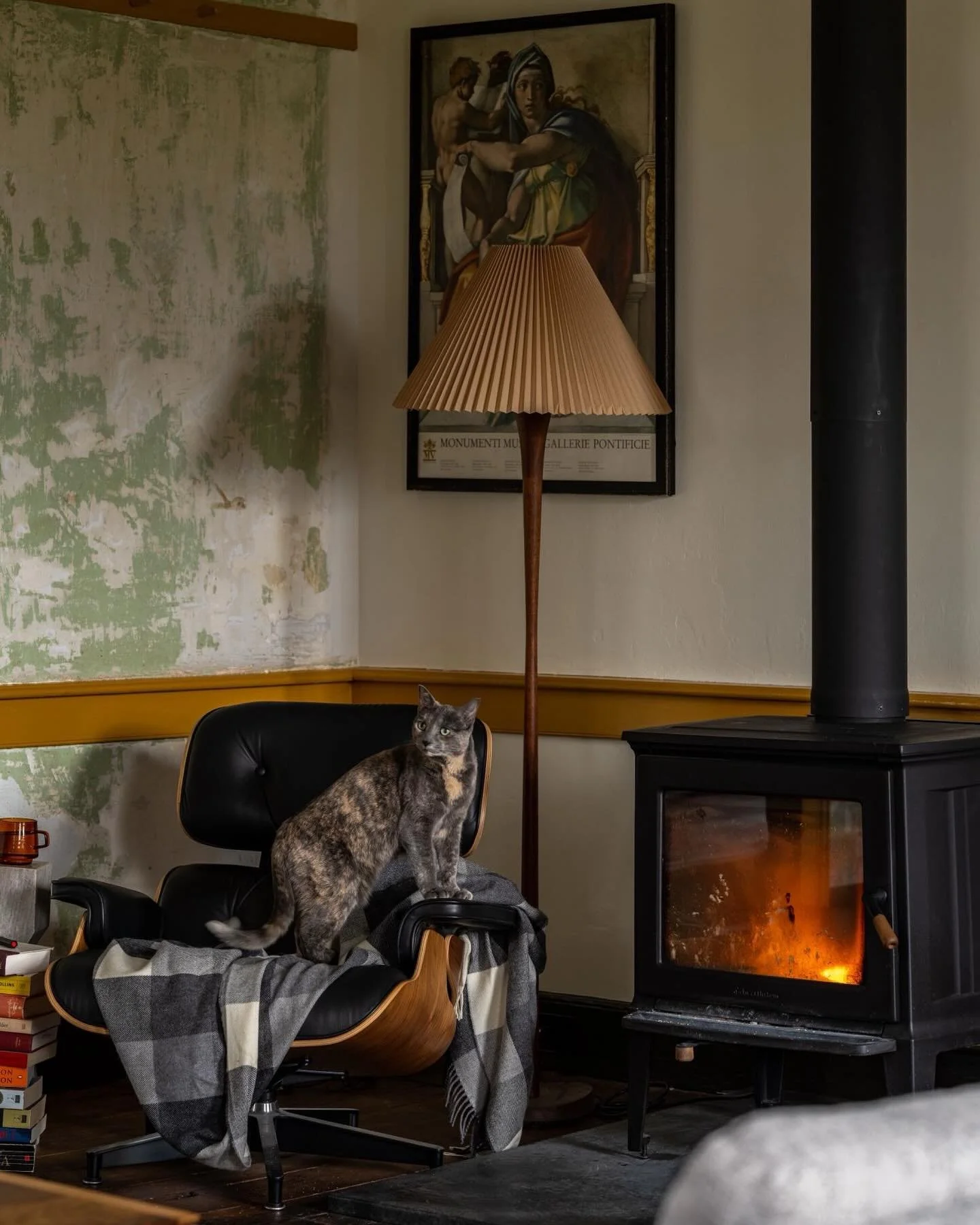 Cozy throne and warm flames. Just another day ruling my kingdom - Pepper the Cat
Architecture + Interiors: @runciblestudios 
Styling: @mwmoedinger 
GC: Restore n'More
#stonehouse #fullgutrenovation #historichomes #colorfuldesign #interiordesign