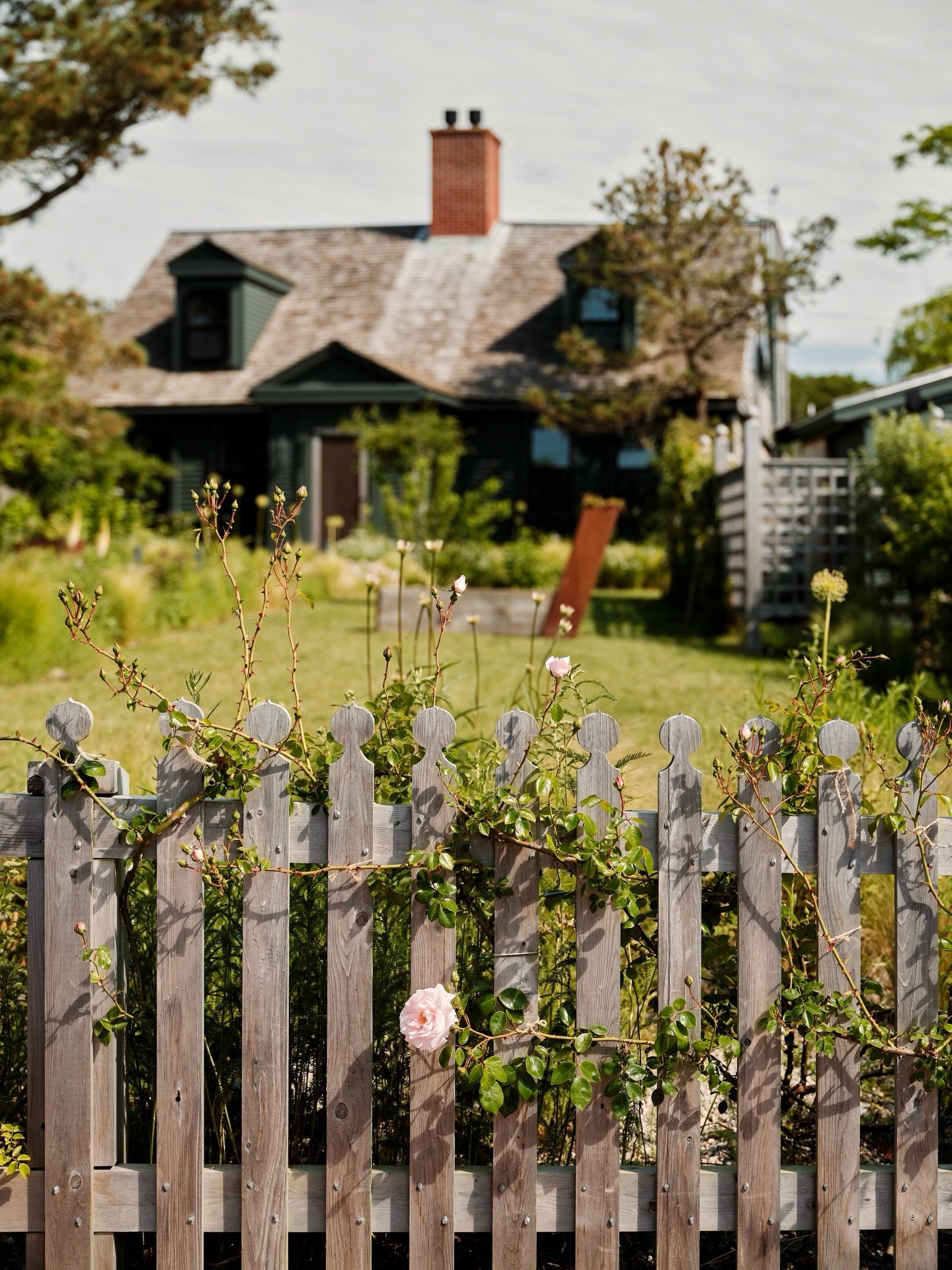 If you know Provincetown, you&rsquo;ve likely walked past this stunning Cape garden in awe. Thoughtfully designed by @angell_landscape for the lovely Scott &amp; Brad. I can still hear the breeze through the Mexican feather grasses. What a pleasure i
