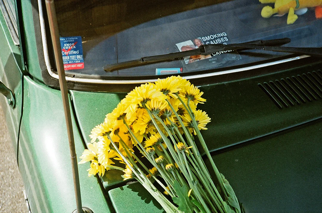 dolphin flowers.JPG