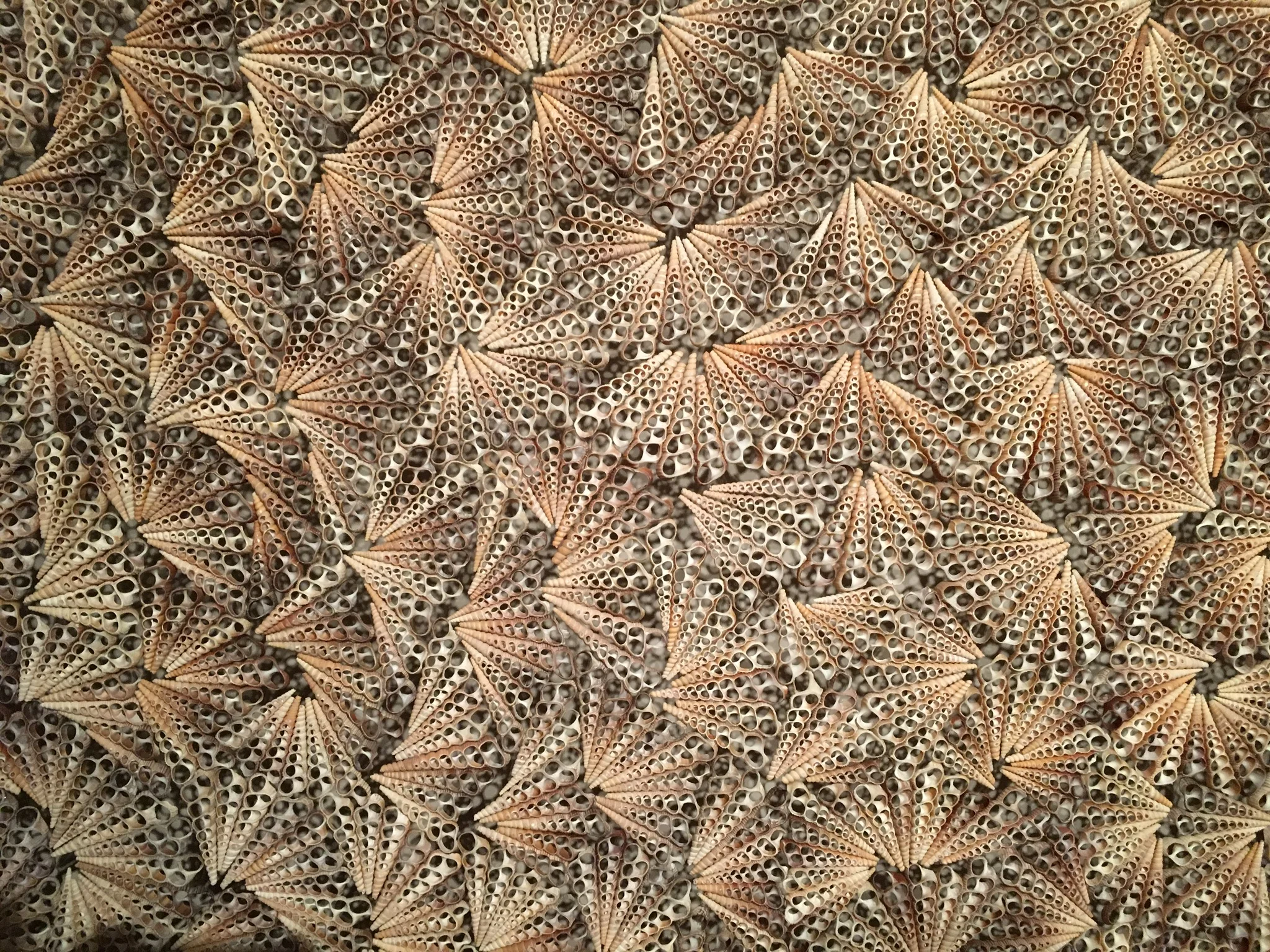 “Dreamcatcher” by Rowan Mersh (3metres x 2 metres) - £72,000 inc VAT on the stand of A24 Gallery Fumi (Sardinia, Italy). Made from ‘farmed’ Turritella shells from the Phillippines