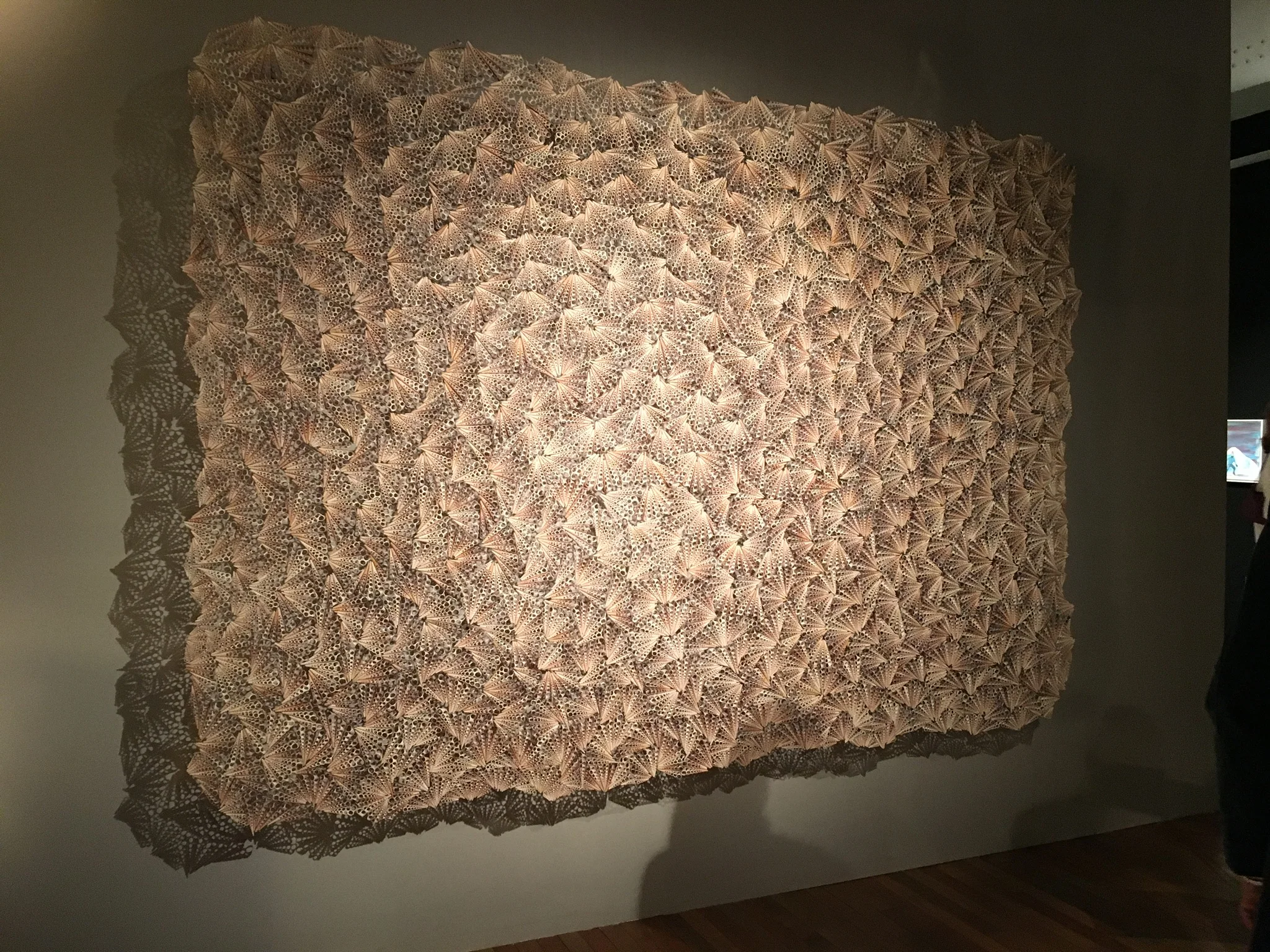 “Dreamcatcher” by Rowan Mersh (3metres x 2 metres) - £72,000 inc VAT on the stand of A24 Gallery Fumi (Sardinia, Italy). Made from ‘farmed’ Turritella shells from the Phillippines
