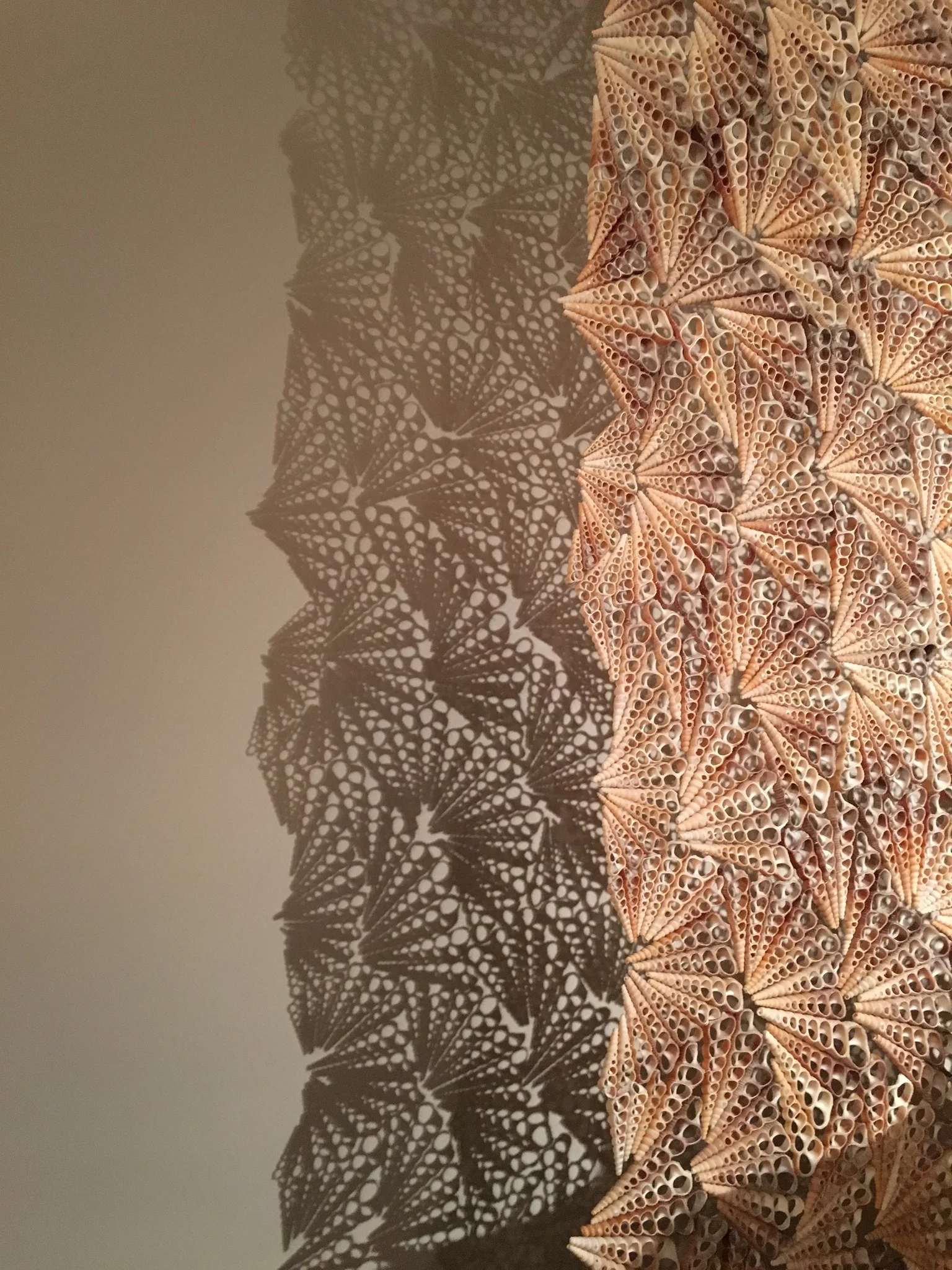 “Dreamcatcher” by Rowan Mersh (3metres x 2 metres) - £72,000 inc VAT on the stand of A24 Gallery Fumi (Sardinia, Italy). Made from ‘farmed’ Turritella shells from the Phillippines