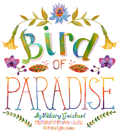 Becca Cahan Bird of Paradise for Baltimore Magazine Print