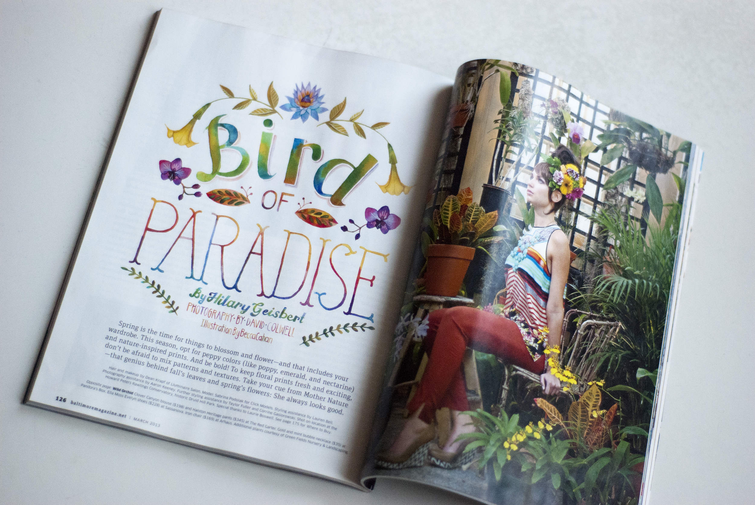 Becca Cahan Bird of Paradise for Baltimore Magazine