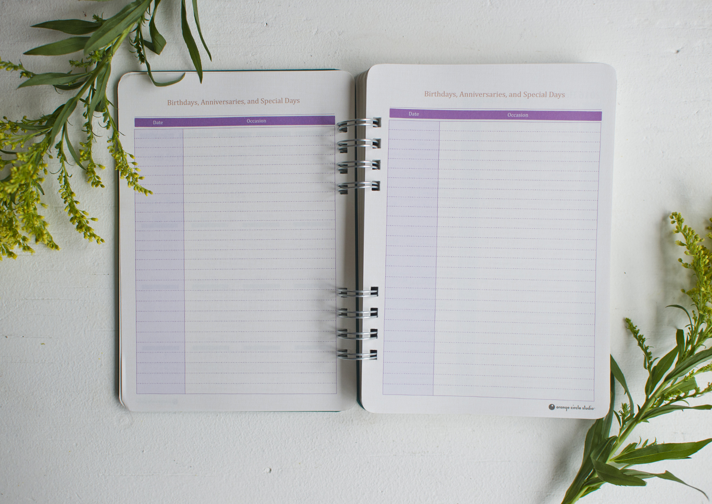 Becca Cahan for Studio Oh! // "Live Love Laugh" Weekly Planner 2015-2016 Planner