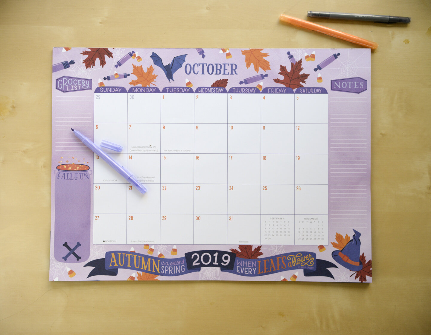 2019-2020 Sellers Publishing Illustrated Deskpad Calendar by Becca Cahan
