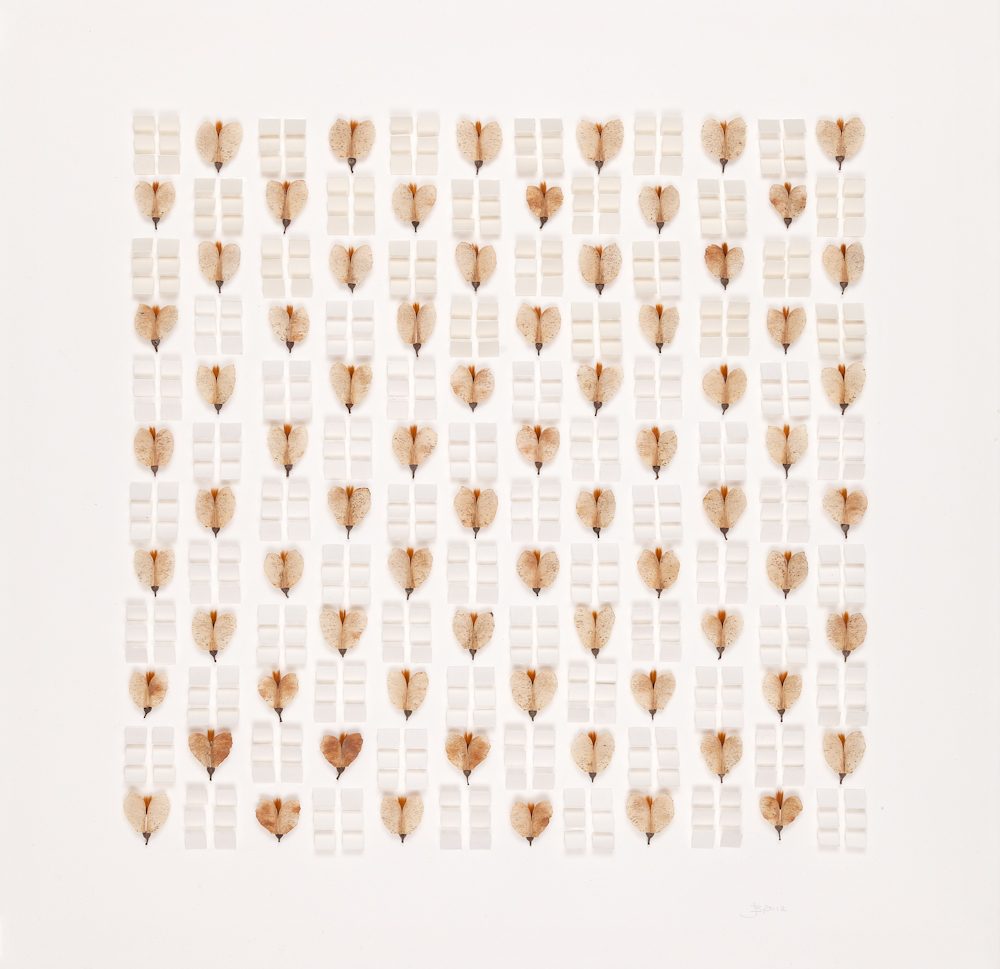 'Native Grid 0312.4' 2012