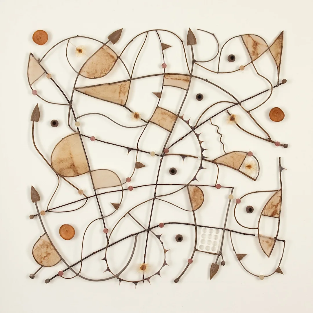 'Native Grid 0911.1' 2011