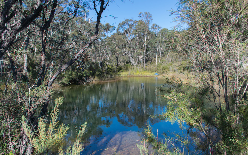 A small lake at the Wild Valley property
