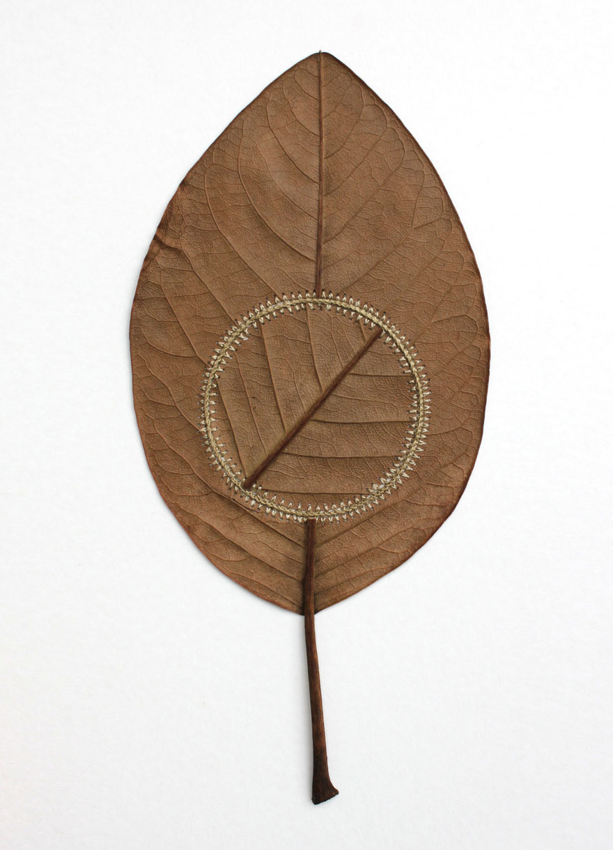 Artwork by Susanna Bauer