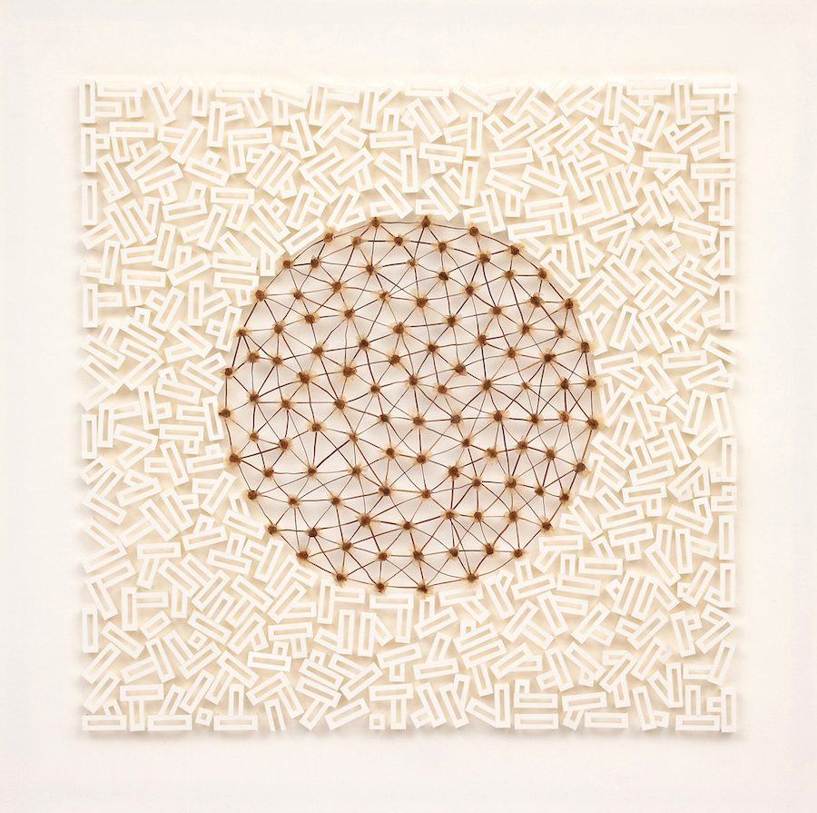 'Embryonic' 2012. 57cm x 57cm. Paper, Pandorea pandorana seeds, Pine needles. 