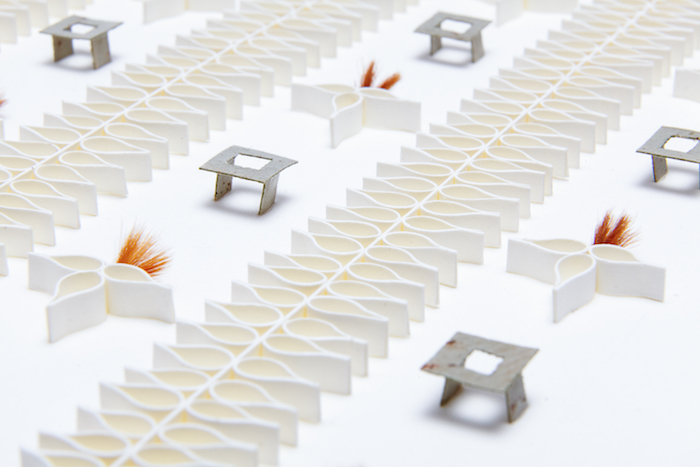 'Floritura' (detail) 2015
