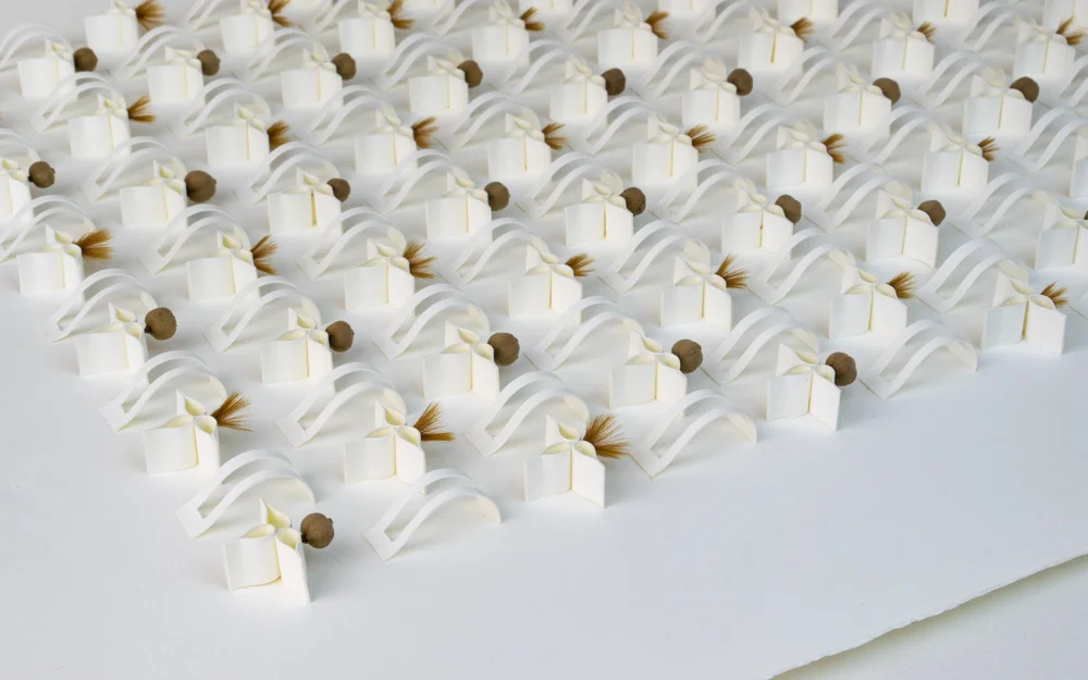 James Blackwell 'Elevation 867' 2018. Paper, Protea Fluff, American Basswood seeds. 