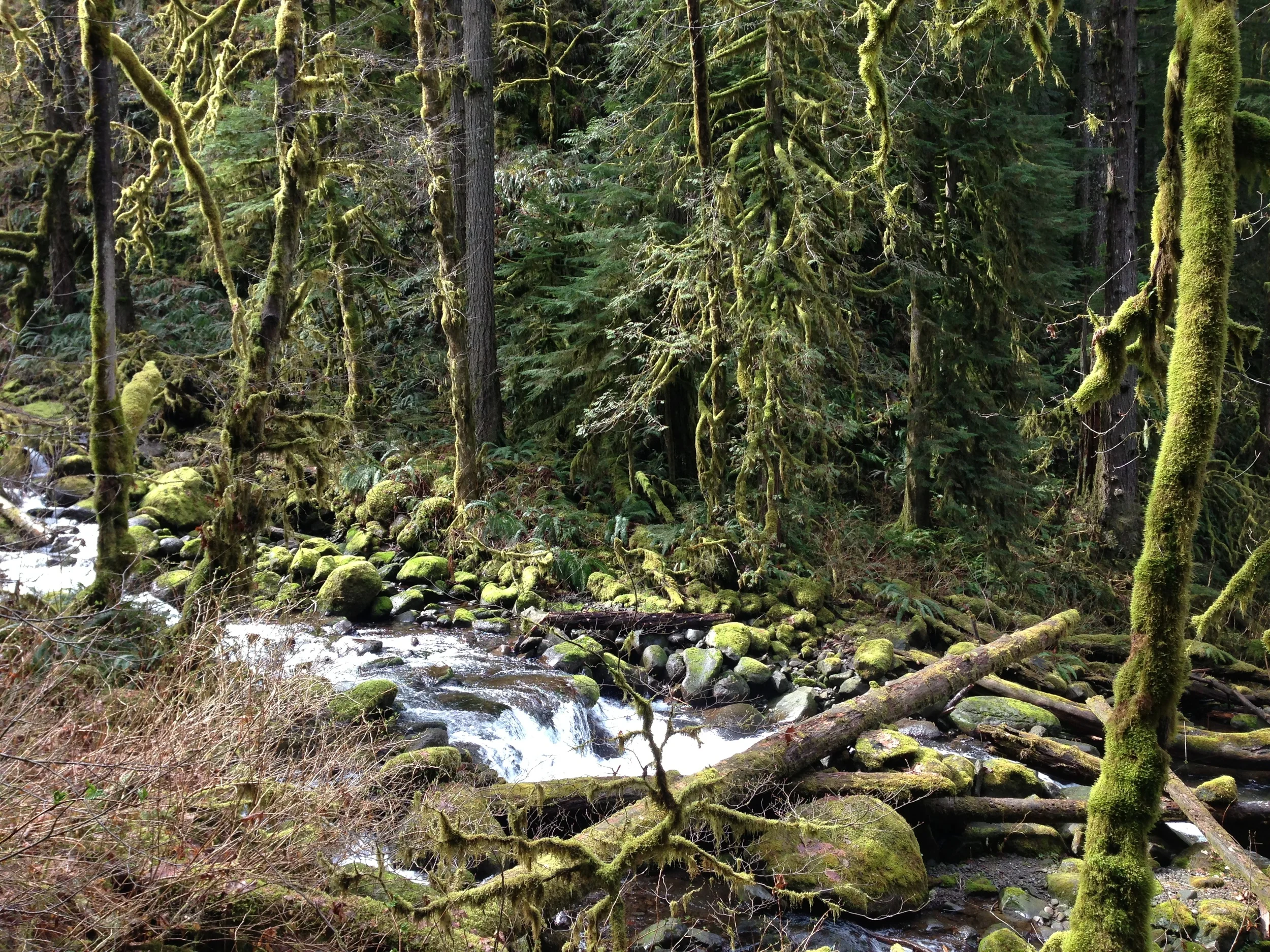 Horsetail Falls Trail