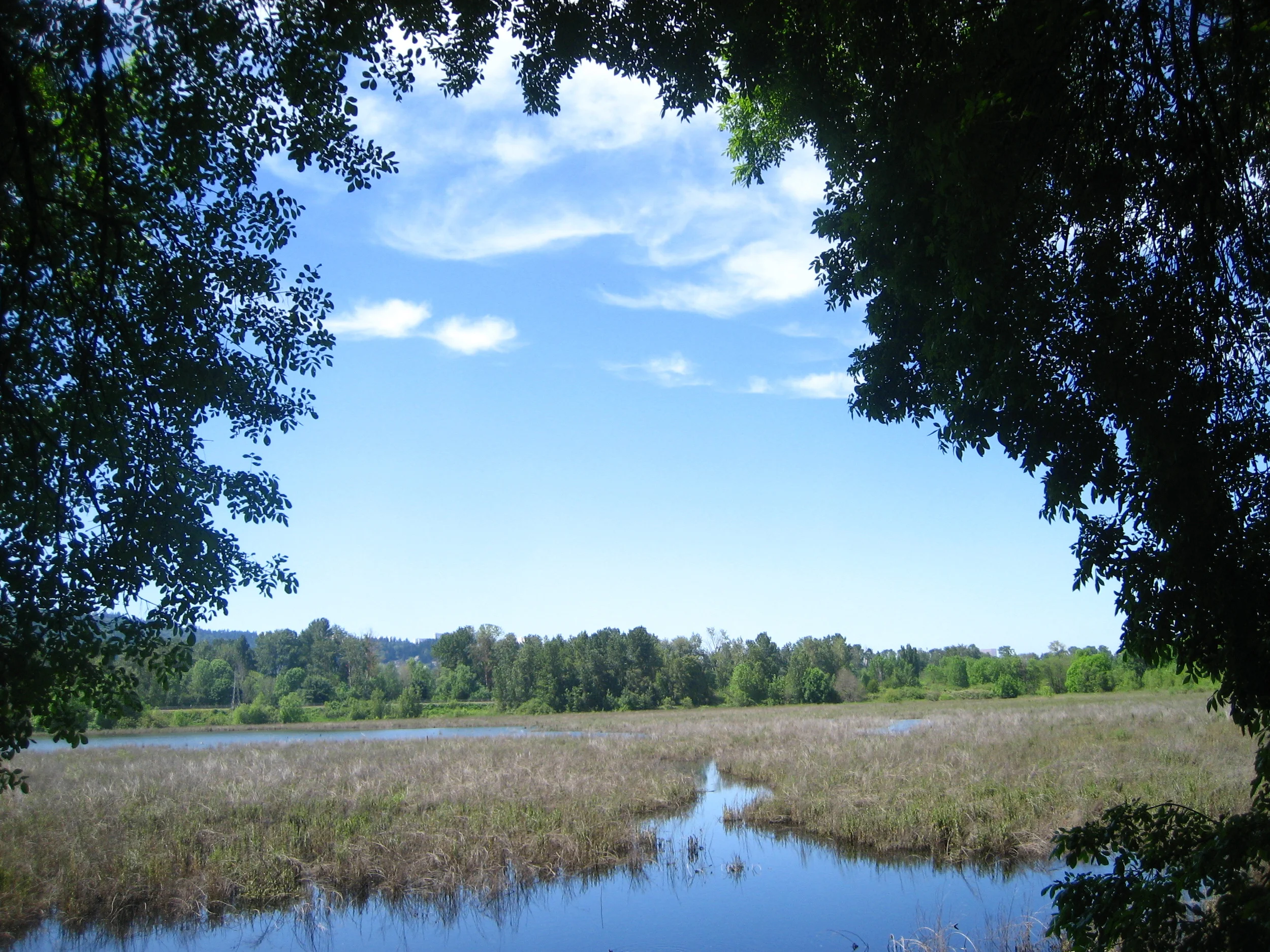 Oaks Bottom